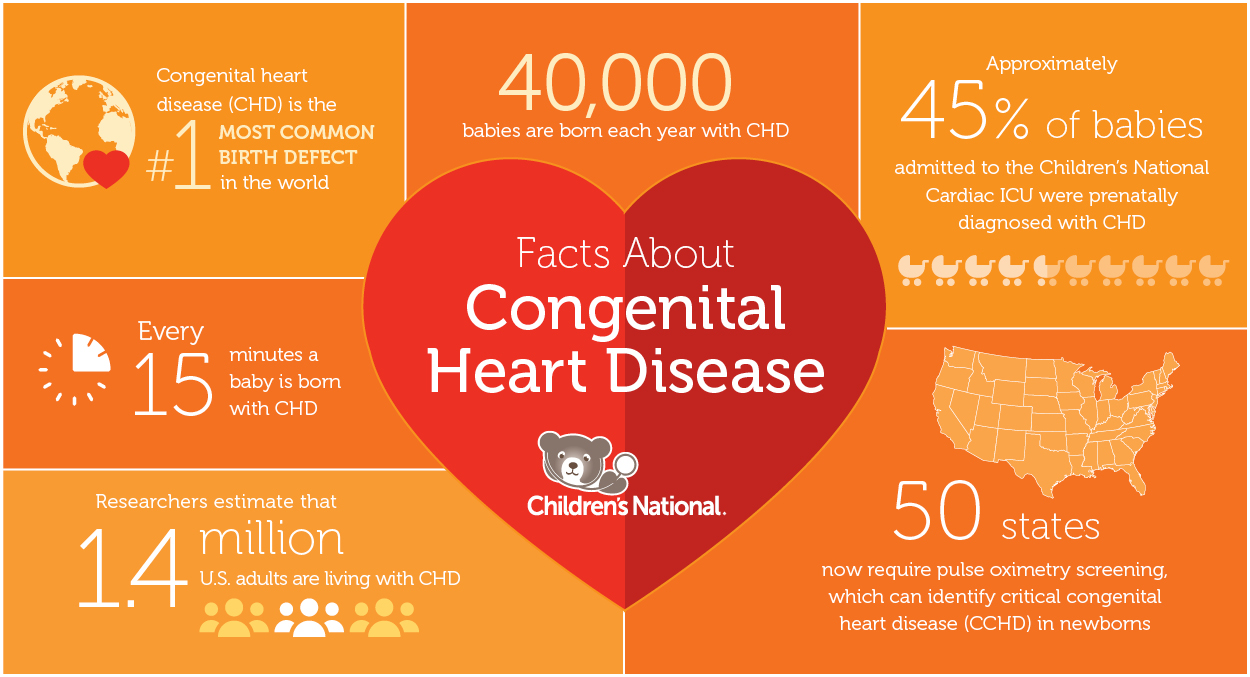 Congenital heart disease infographic