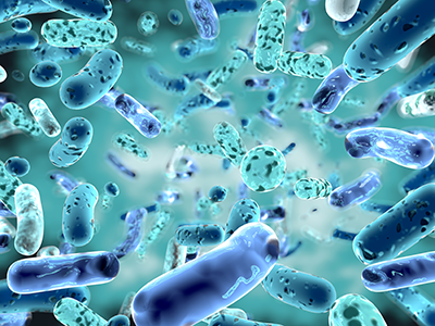 Illustration of Bifidobacterium