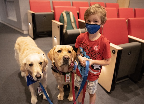 A young boy holds the leashes of two Children's National facility dogs as he stands next to them after receiving his COVID-19 vaccination.