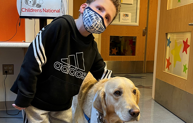 Ryan Mask Pet Therapy updated