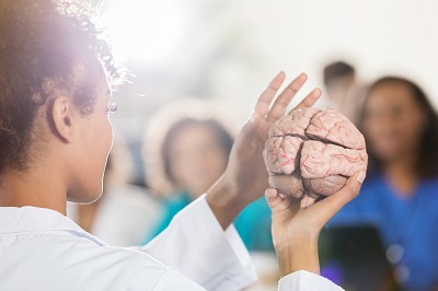 A female physician holds a model of a brain in front of a group of people.