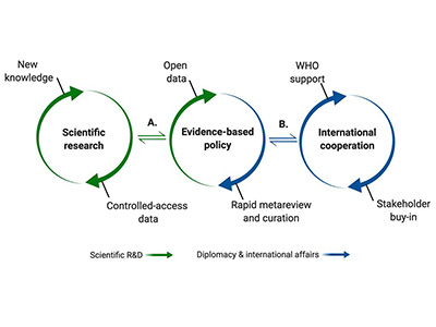 The science-policy interface