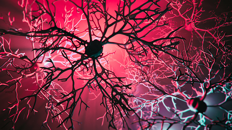 3d rendered image of Neuron cell network