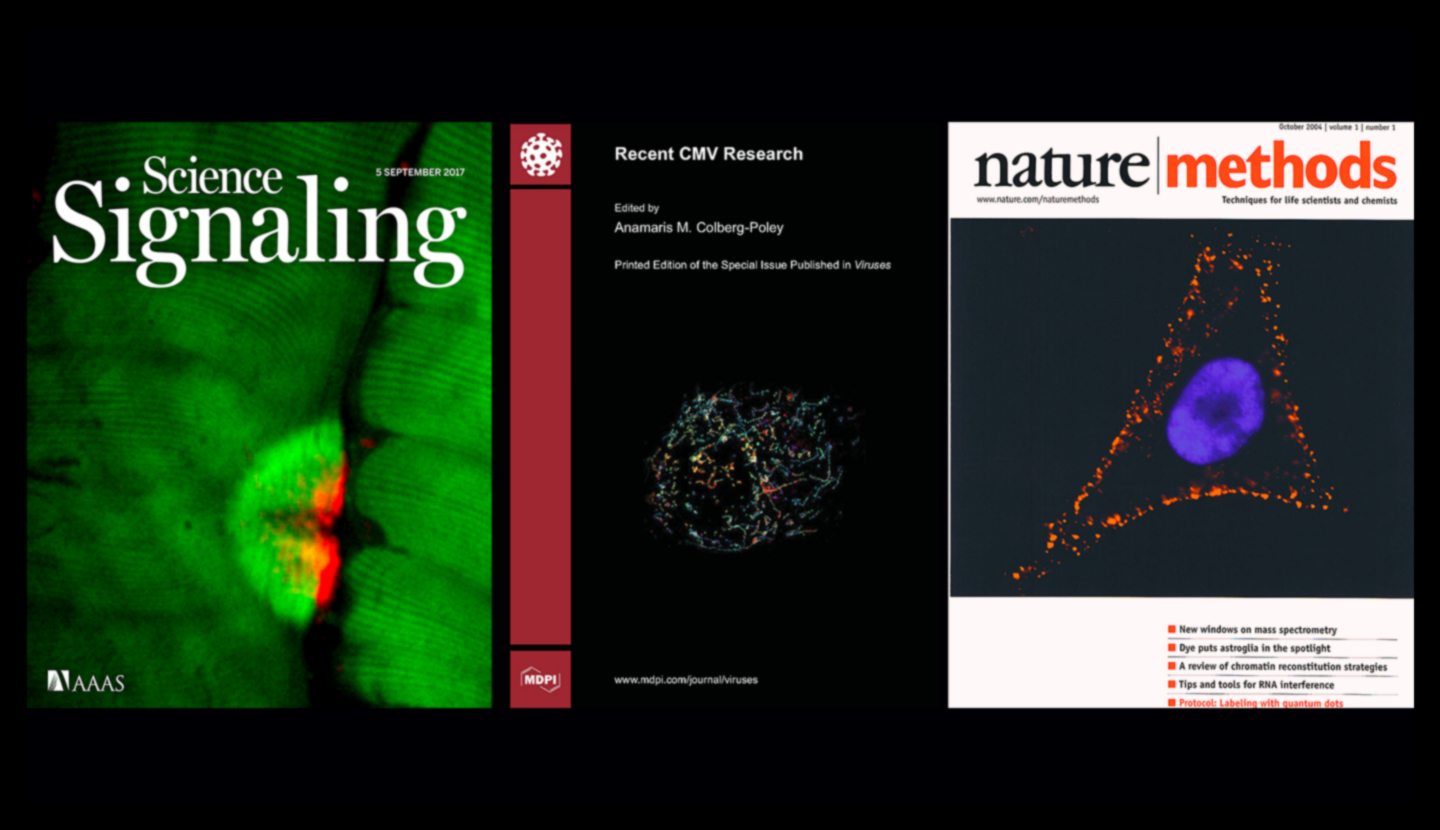 publication covers