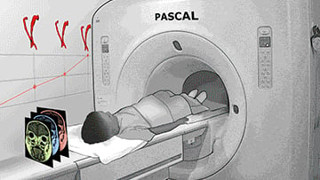 pascal imaging